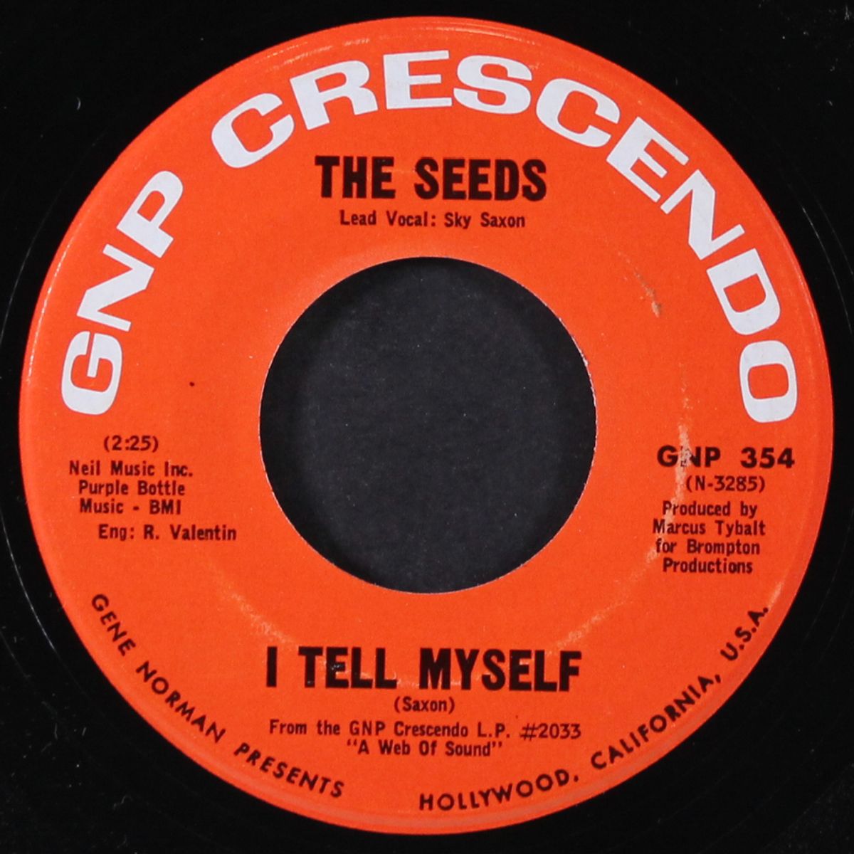 can't seem to make you mine / i tell myself by SEEDS