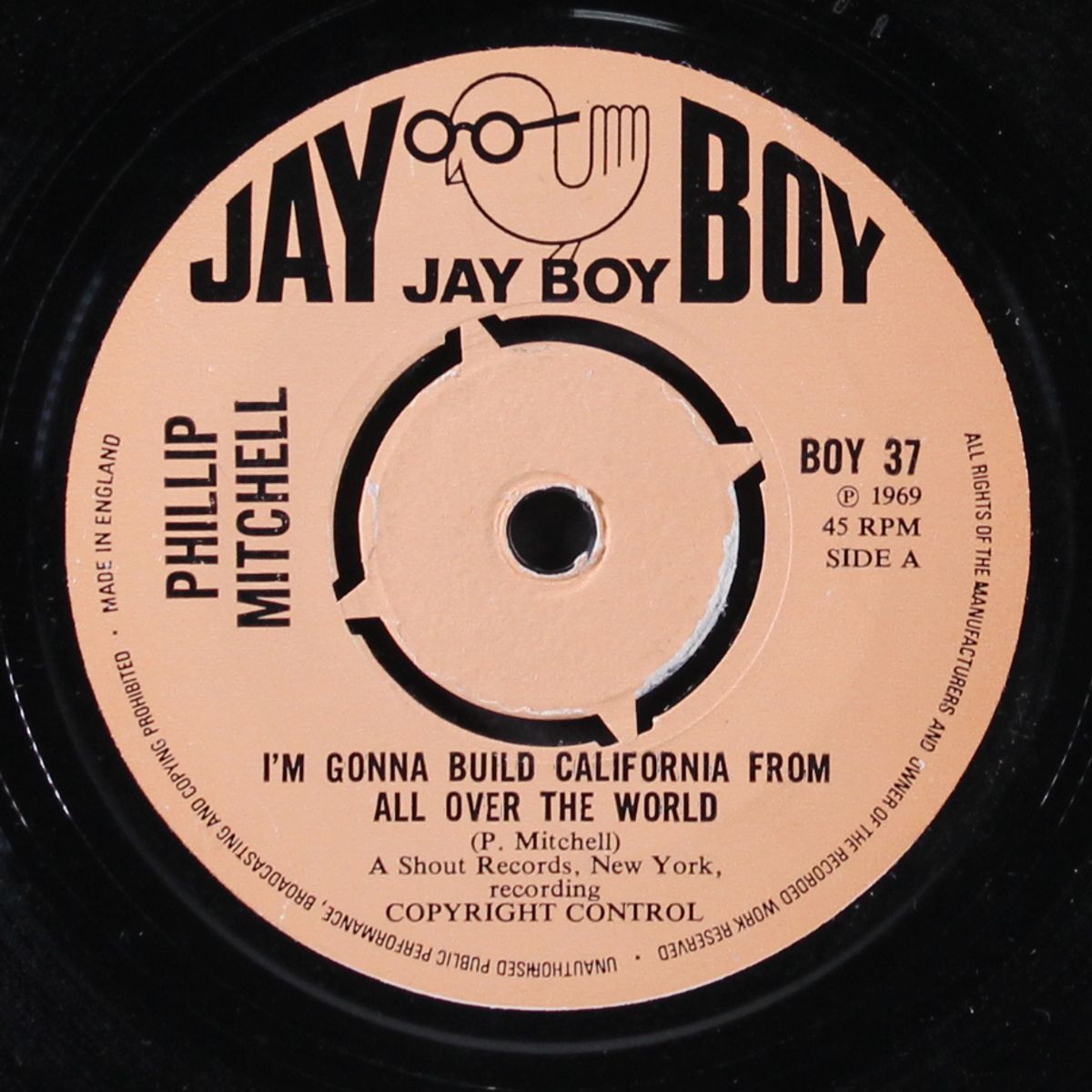 i'm gonna build california from all over the world / the world needs more people like you by PHILLIP MITCHELL