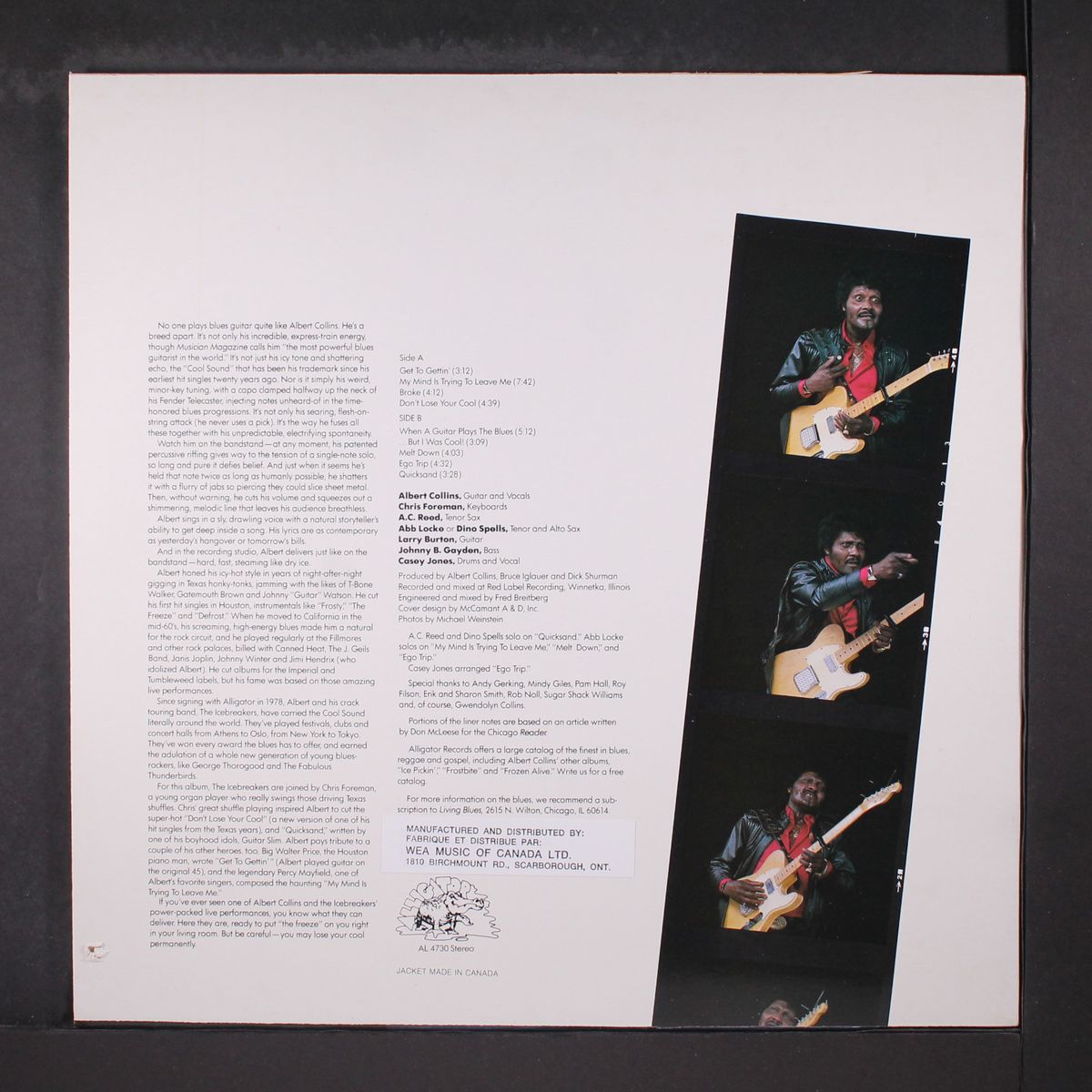 don't lose your cool by ALBERT COLLINS