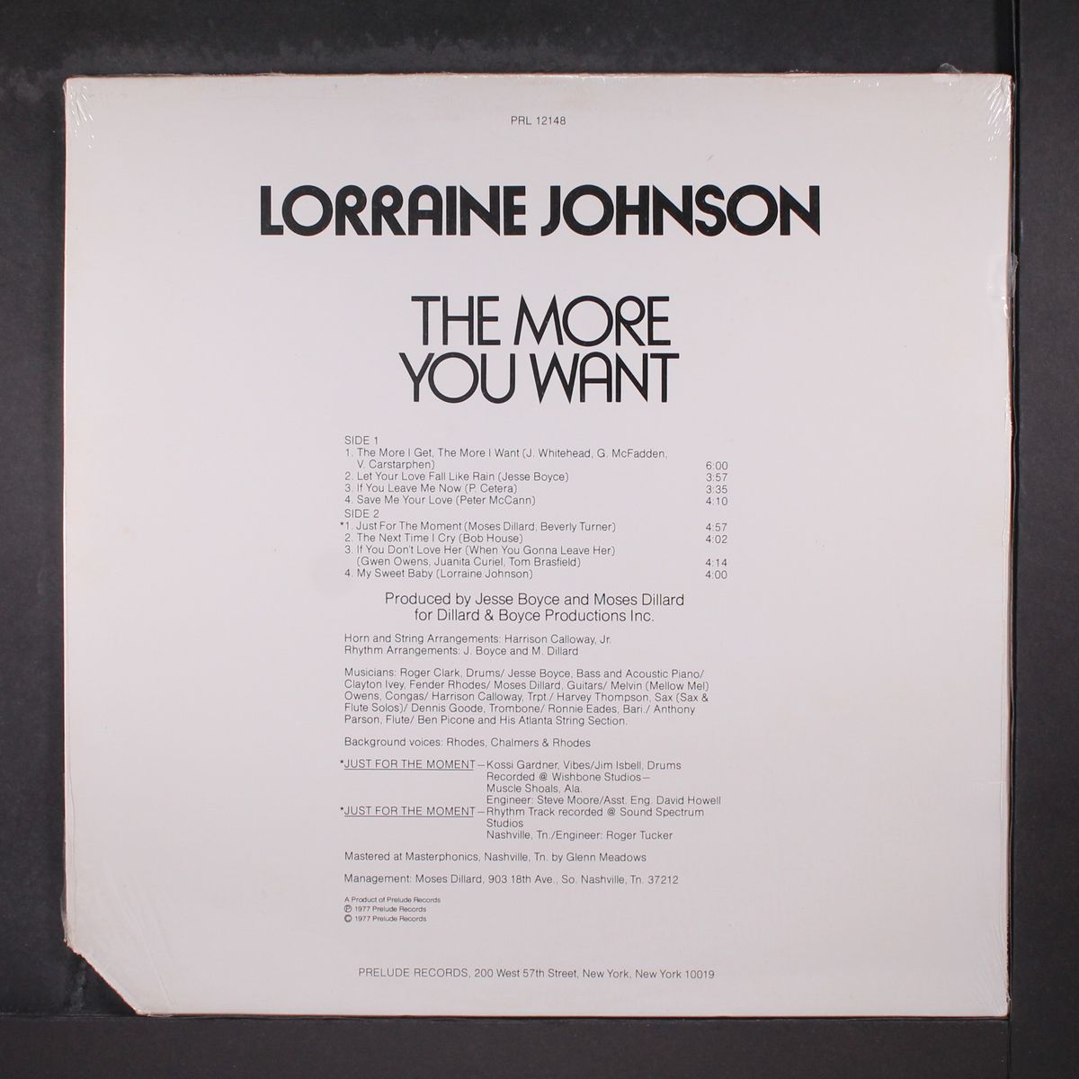 the more you want by LORRAINE JOHNSON