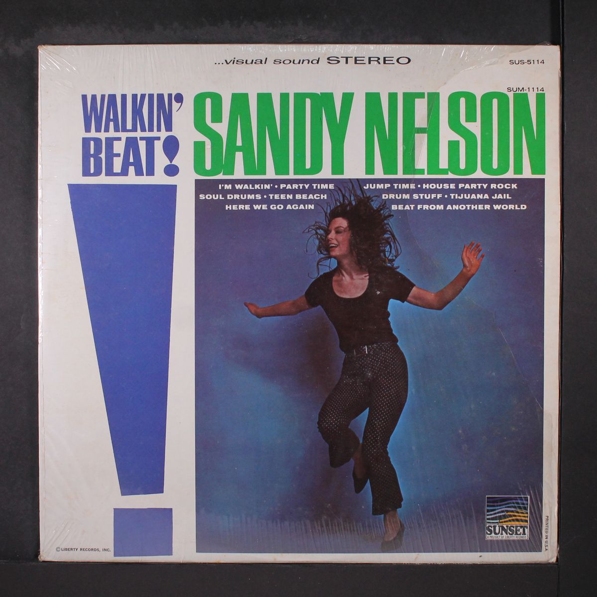 walkin' beat! by SANDY NELSON