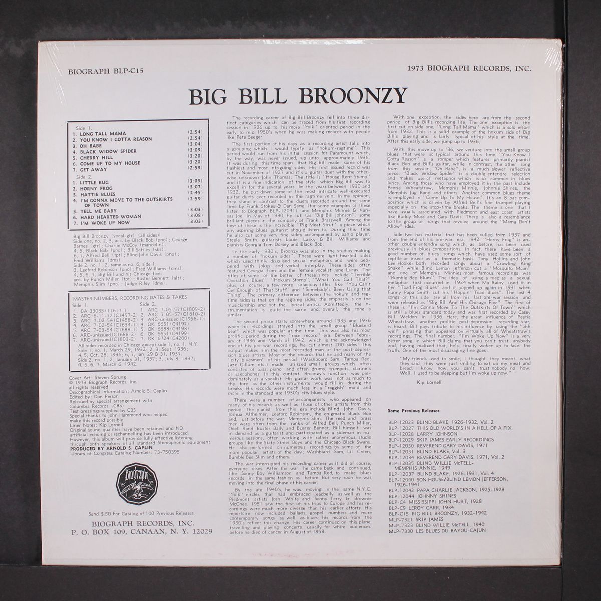 1930's blues by BIG BILL BROONZY