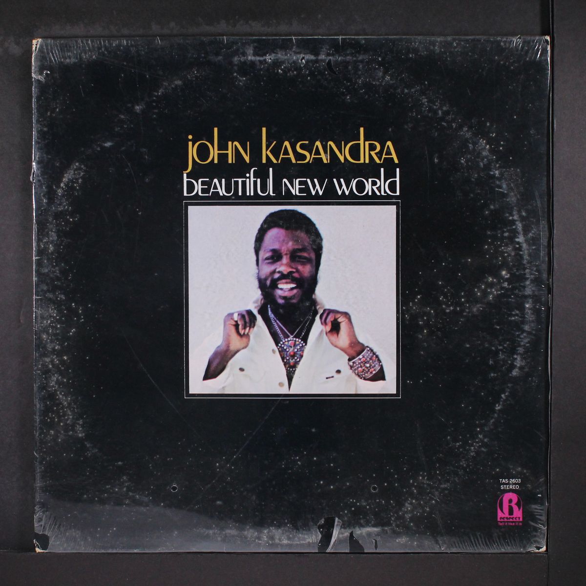 beautiful new world by JOHN KASANDRA