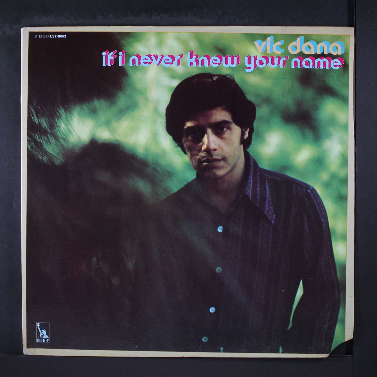 if i never knew your name by VIC DANA
