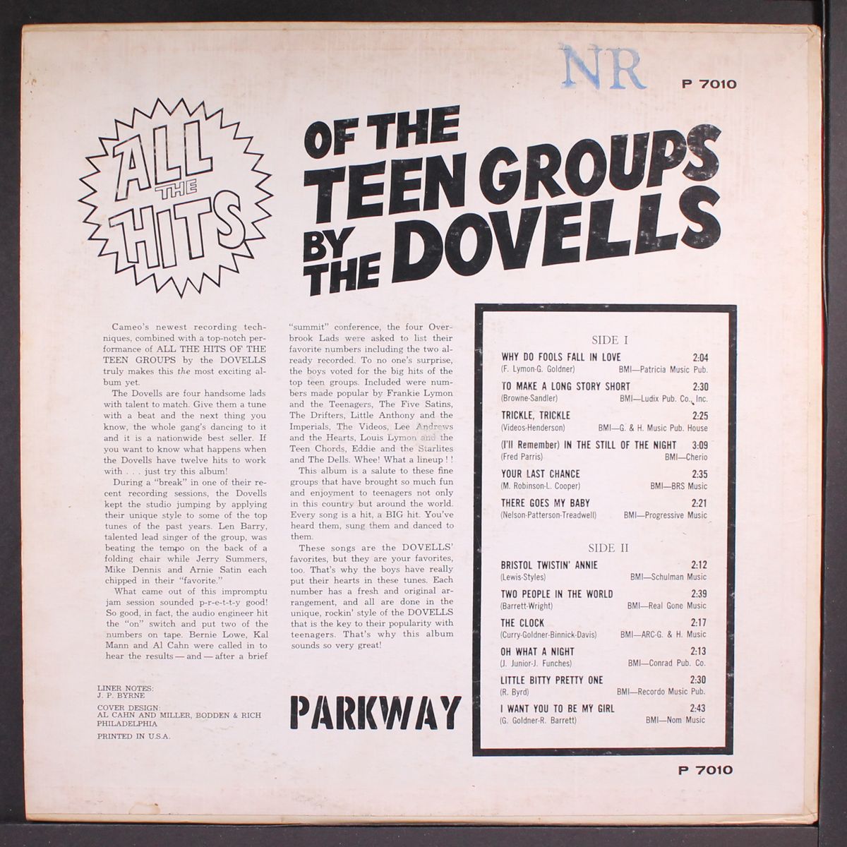 all the hits of the teen groups by DOVELLS