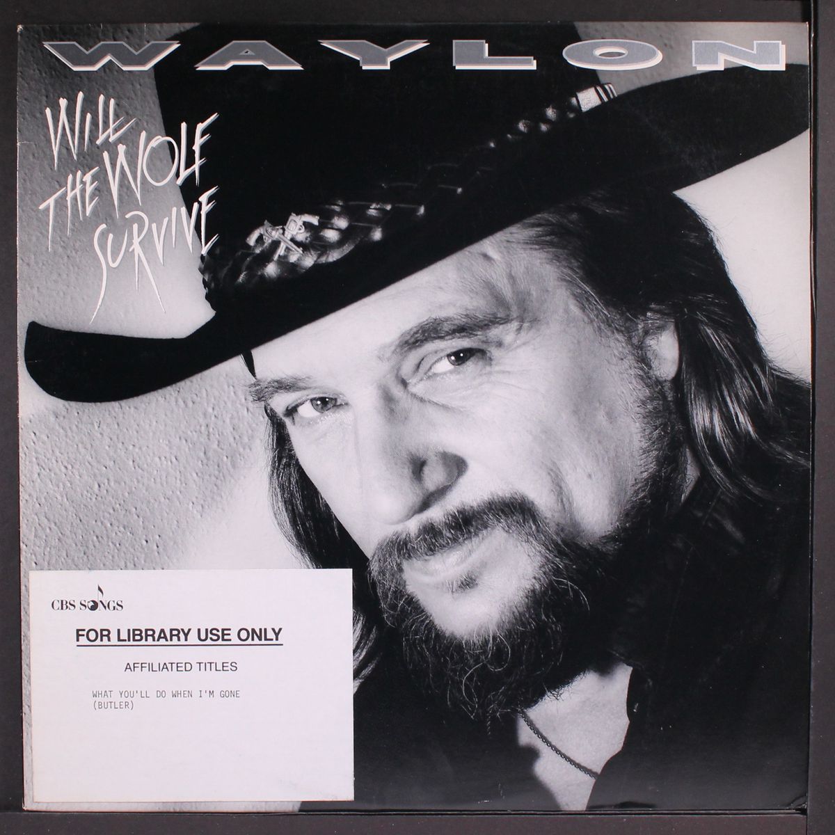 will the wolf survive by WAYLON JENNINGS