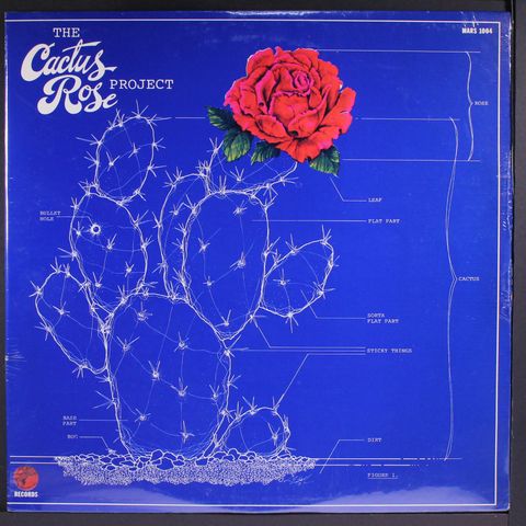 CACTUS ROSE