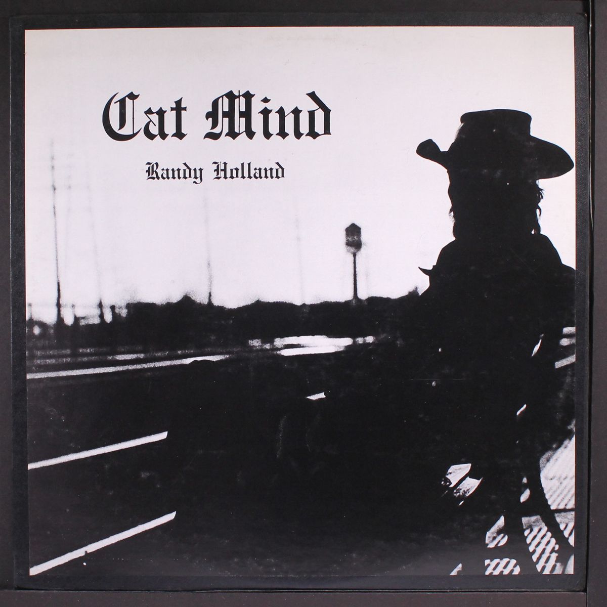 cat mind by RANDY HOLLAND