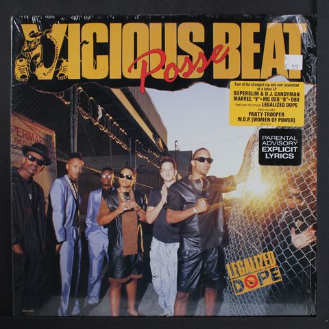 VICIOUS BEAT POSSE