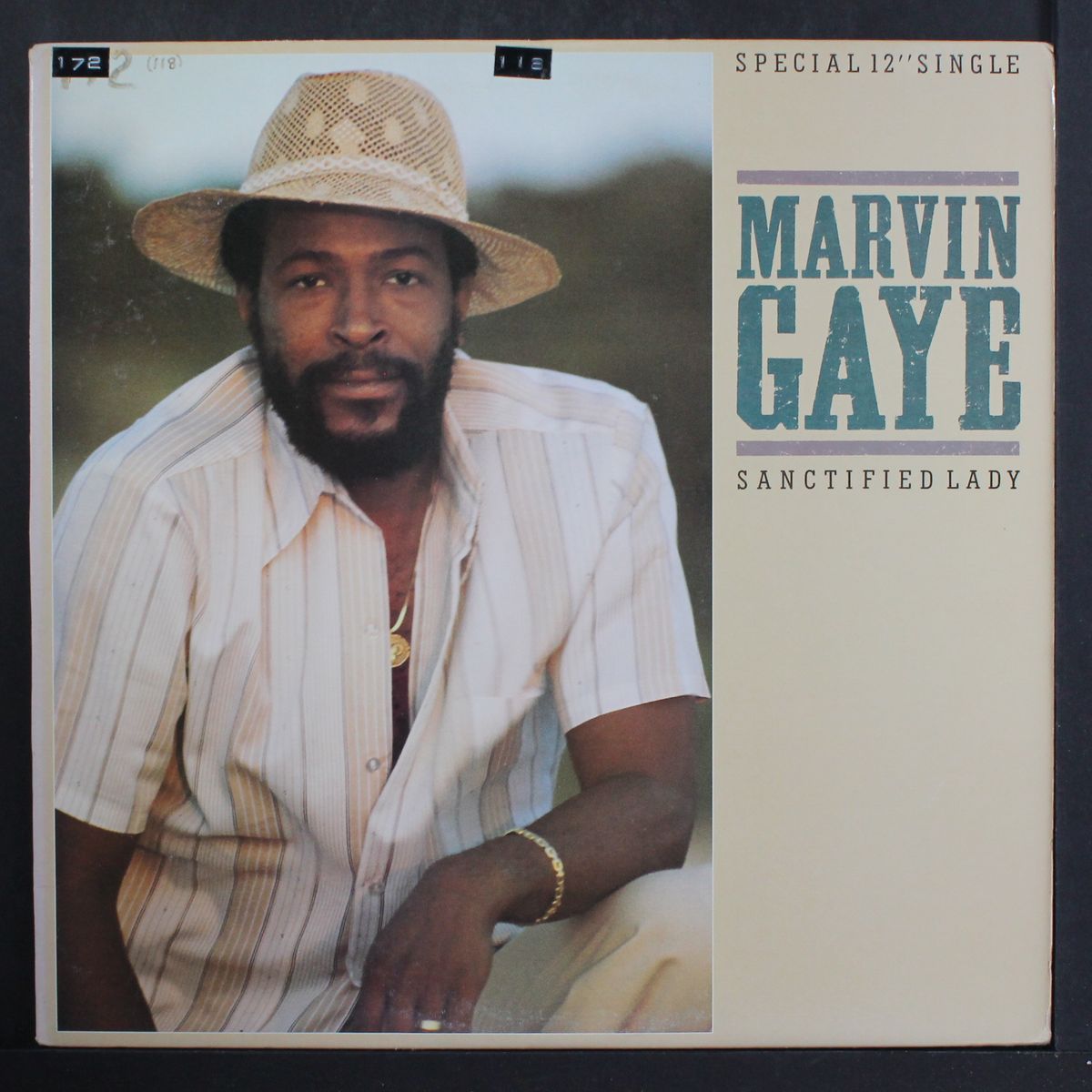 sanctified lady by MARVIN GAYE