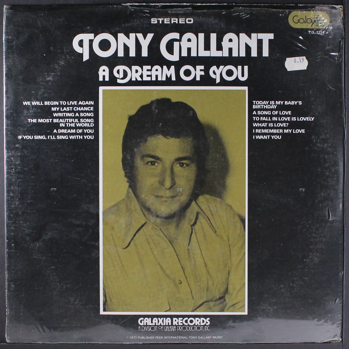 a dream of you by TONY GALLANT