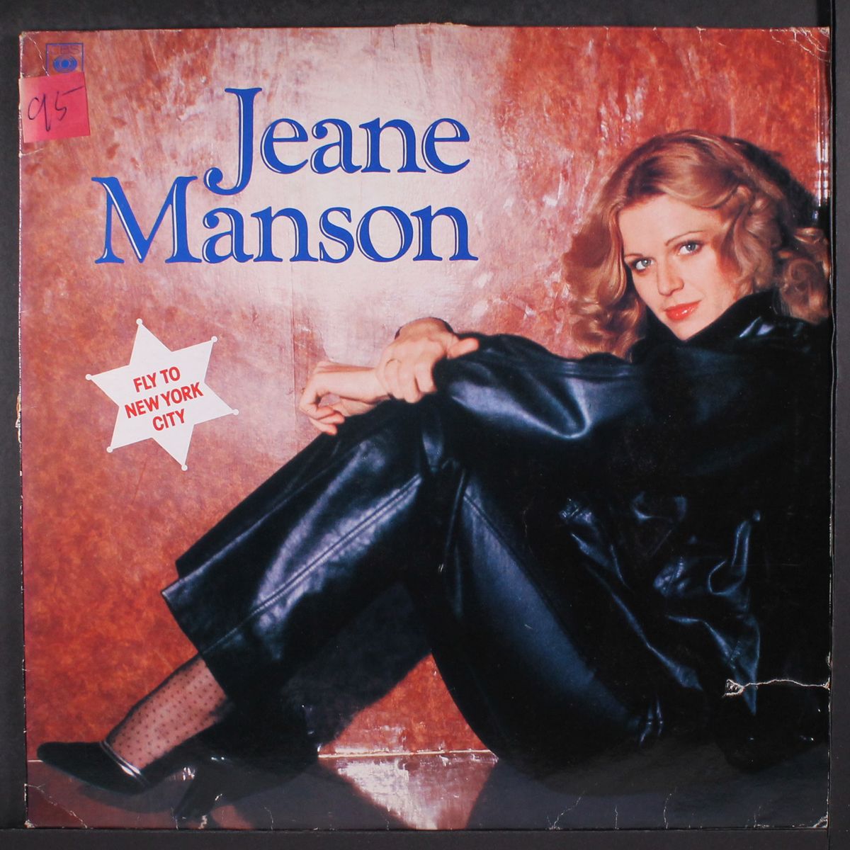 fly to new york city by JEANE MANSON