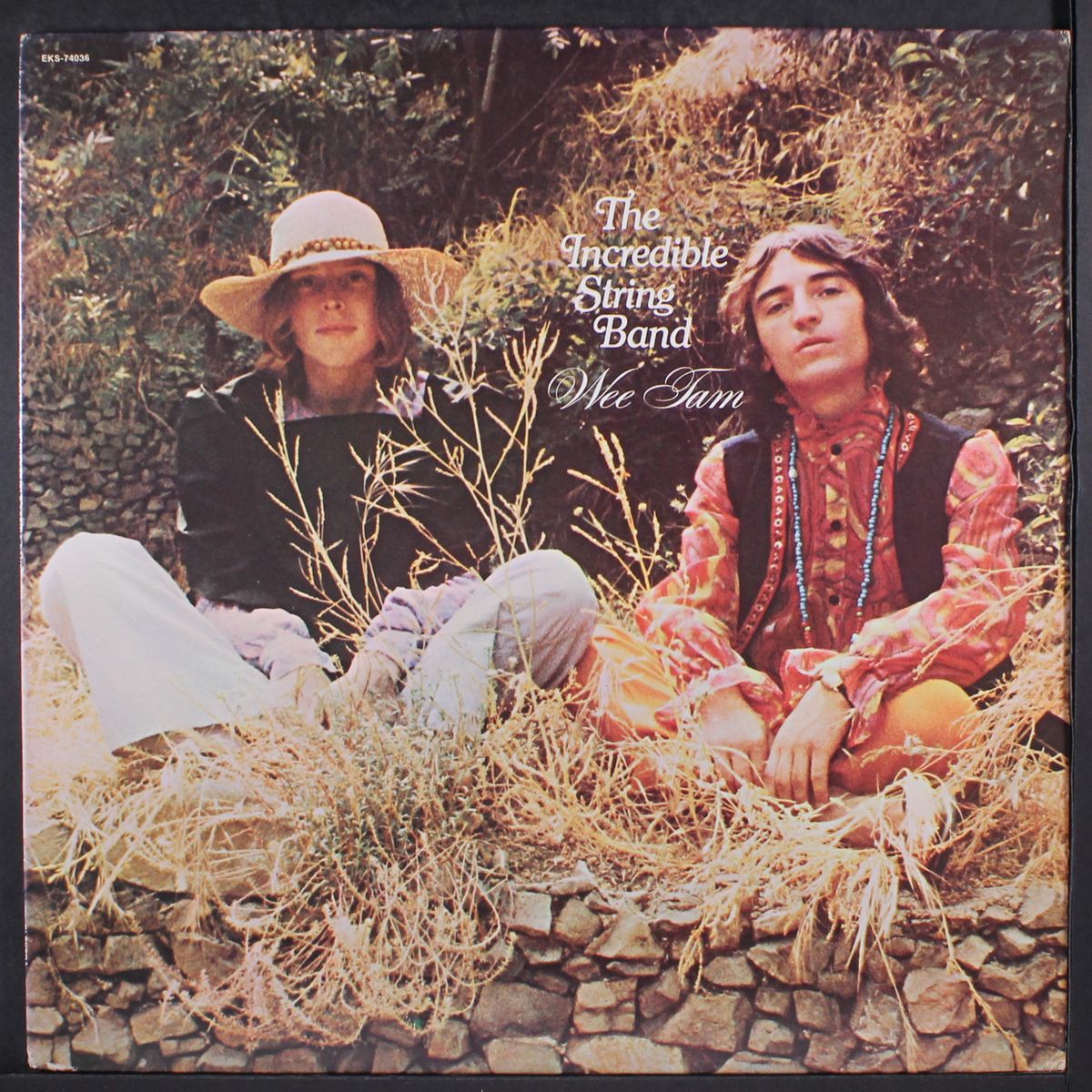 wee tam by INCREDIBLE STRING BAND