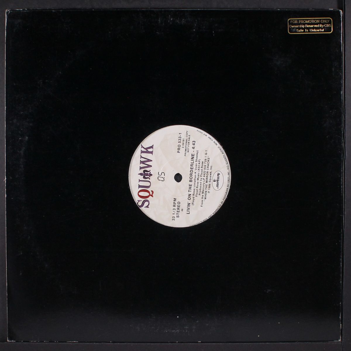 livin' on the borderline / same by SQUAWK