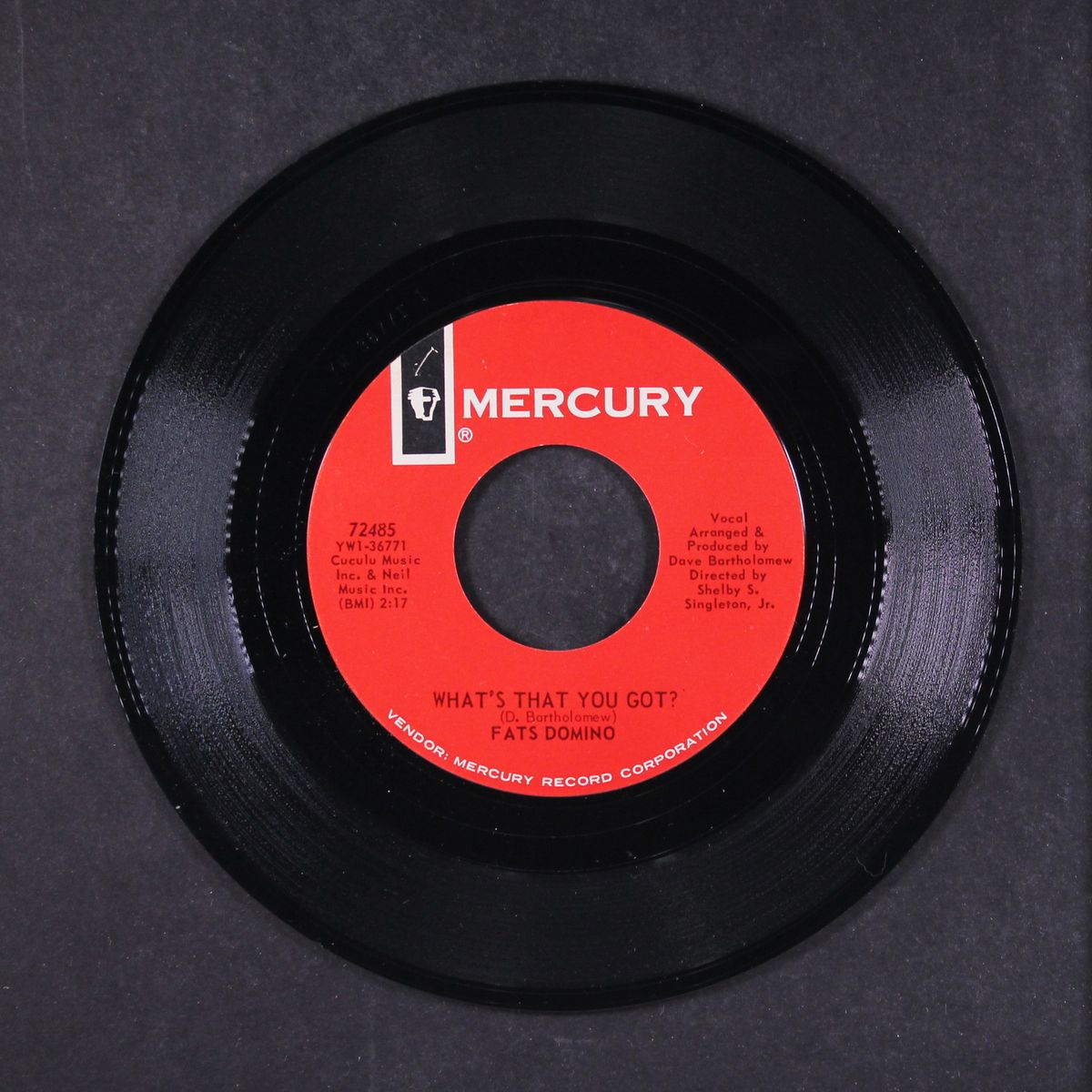 what's that you got? by FATS DOMINO