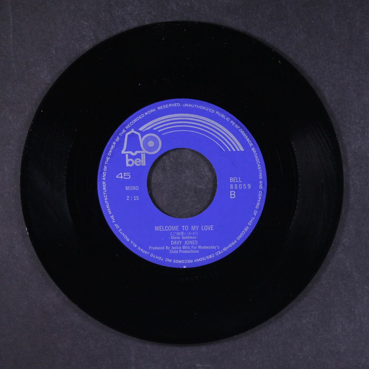 rainy jane / welcome to my love by DAVY JONES
