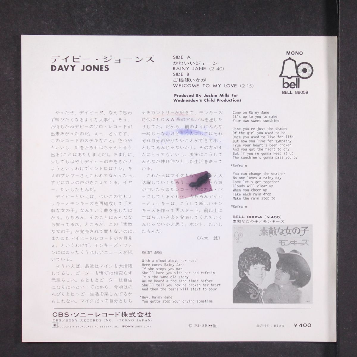 rainy jane / welcome to my love by DAVY JONES