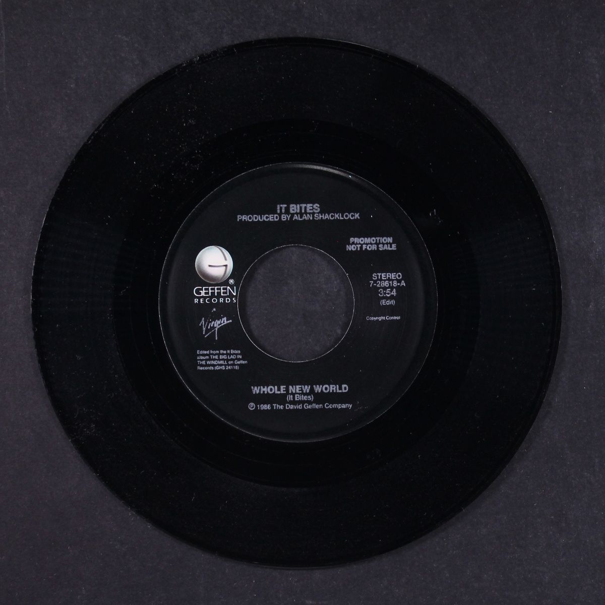 whole new world / short by IT BITES