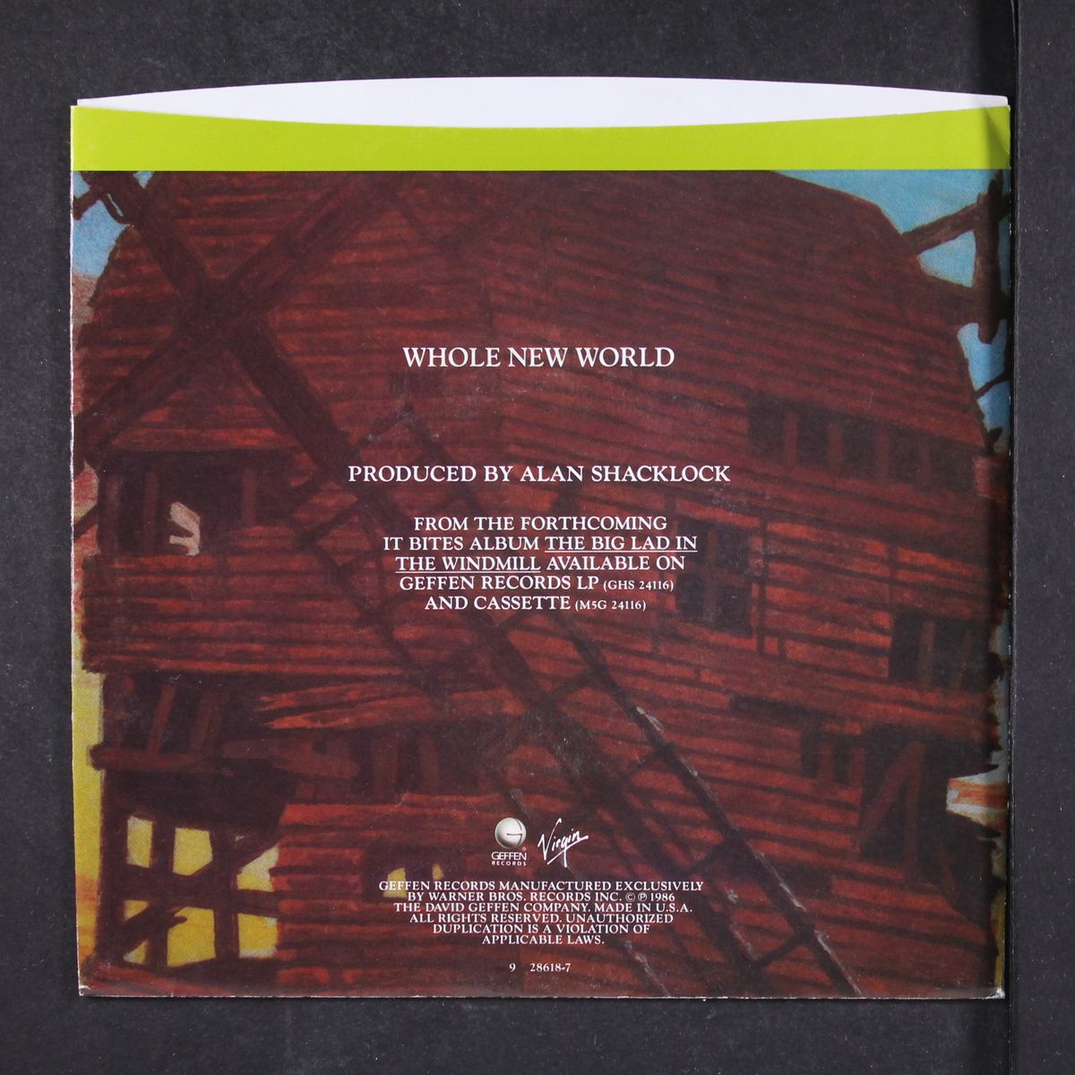 whole new world / short by IT BITES