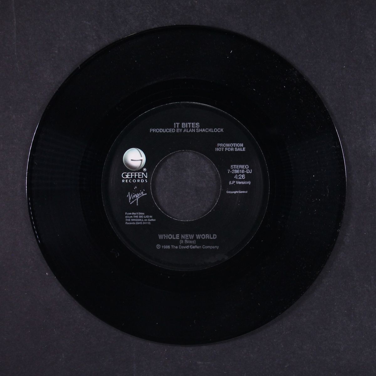 whole new world / short by IT BITES