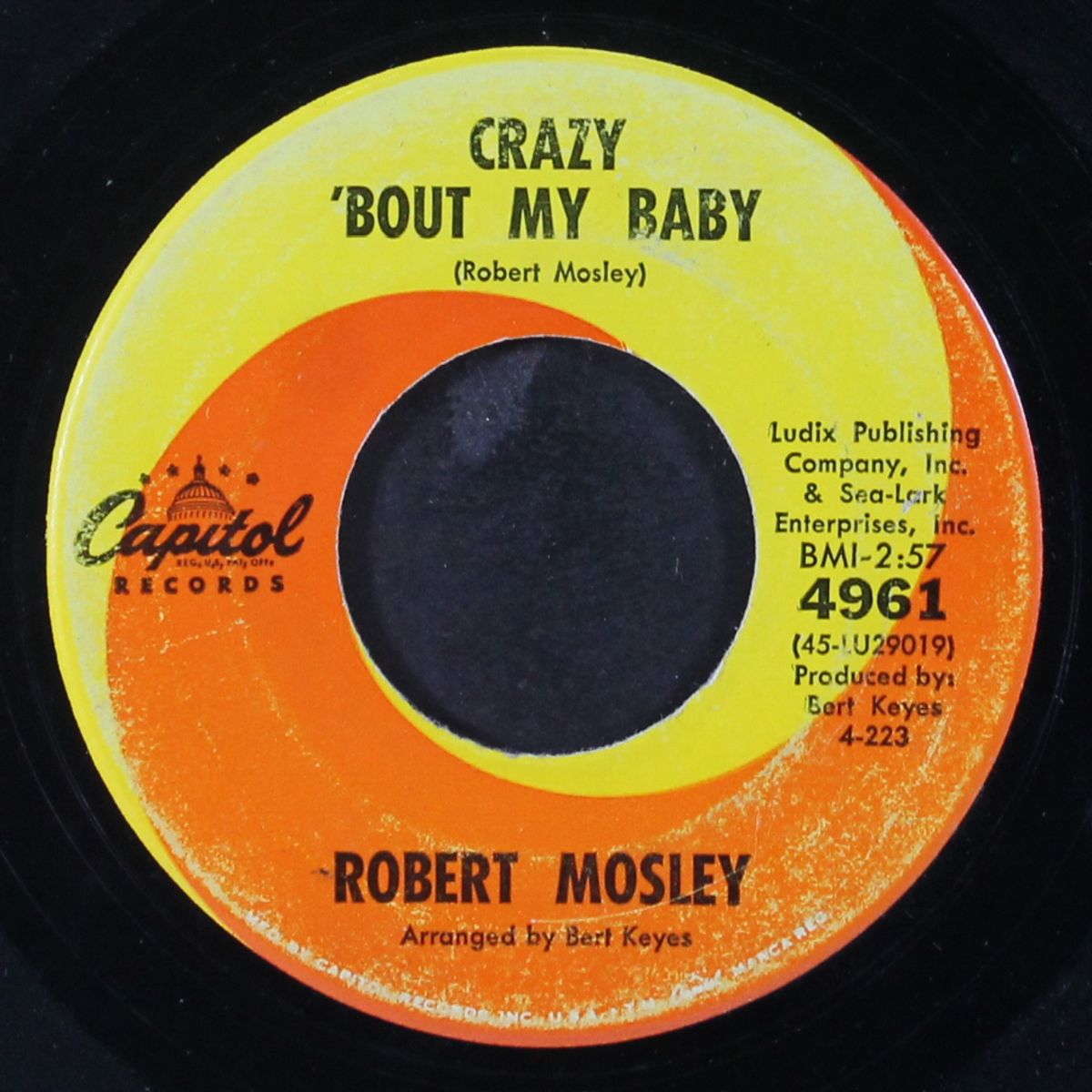 goodbye my lover goodbye / crazy 'bout my baby by ROBERT MOSLEY