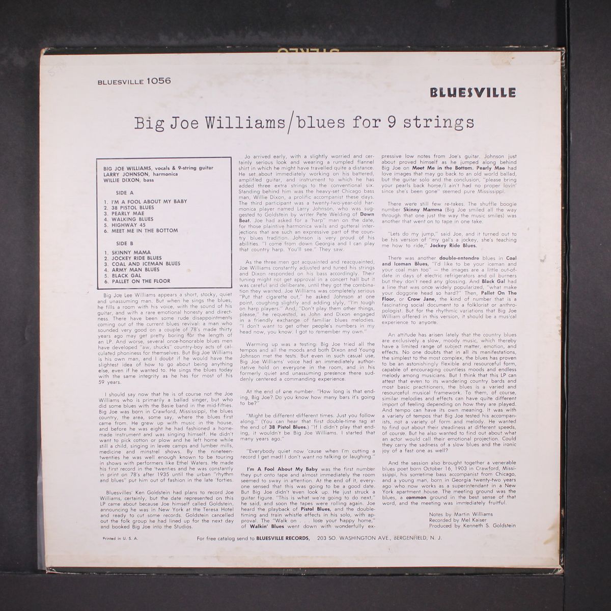 blues for 9 strings by BIG JOE WILLIAMS