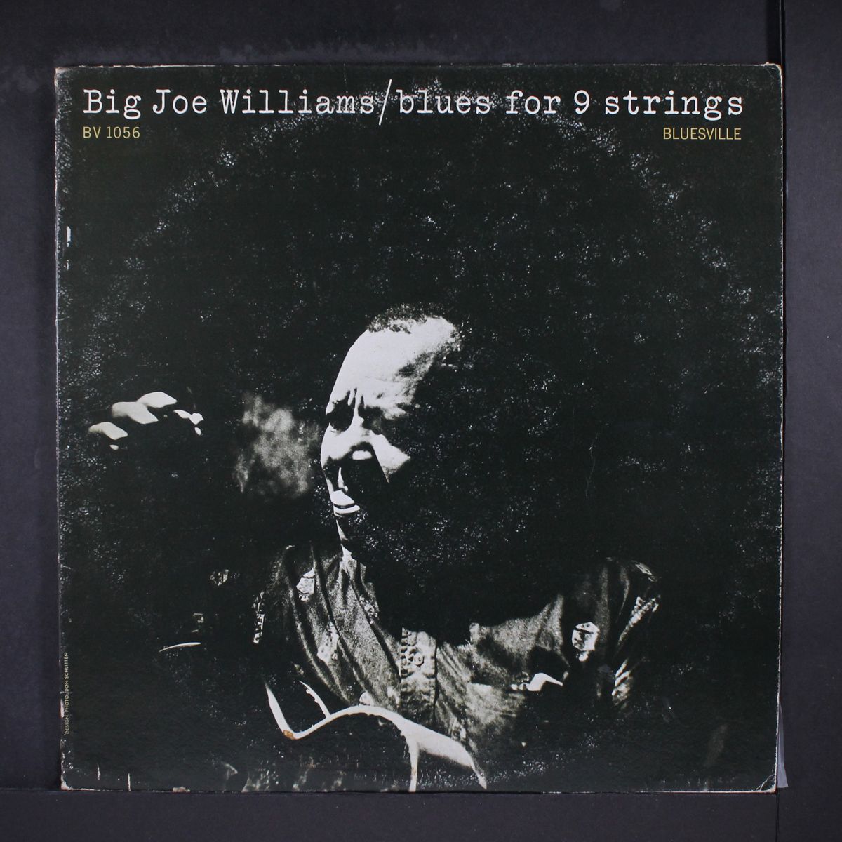 blues for 9 strings by BIG JOE WILLIAMS