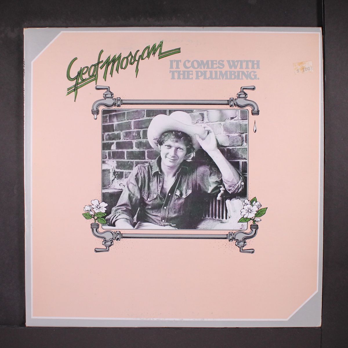 it comes with the plumbing by GEOF MORGAN