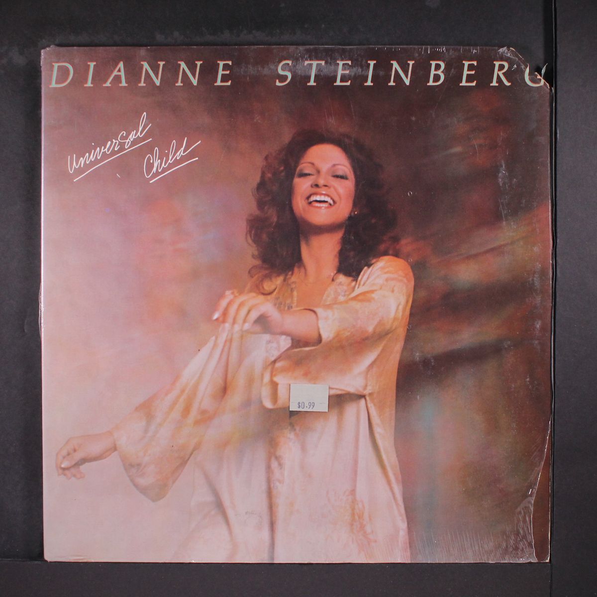 universal child by DIANNE STEINBERG