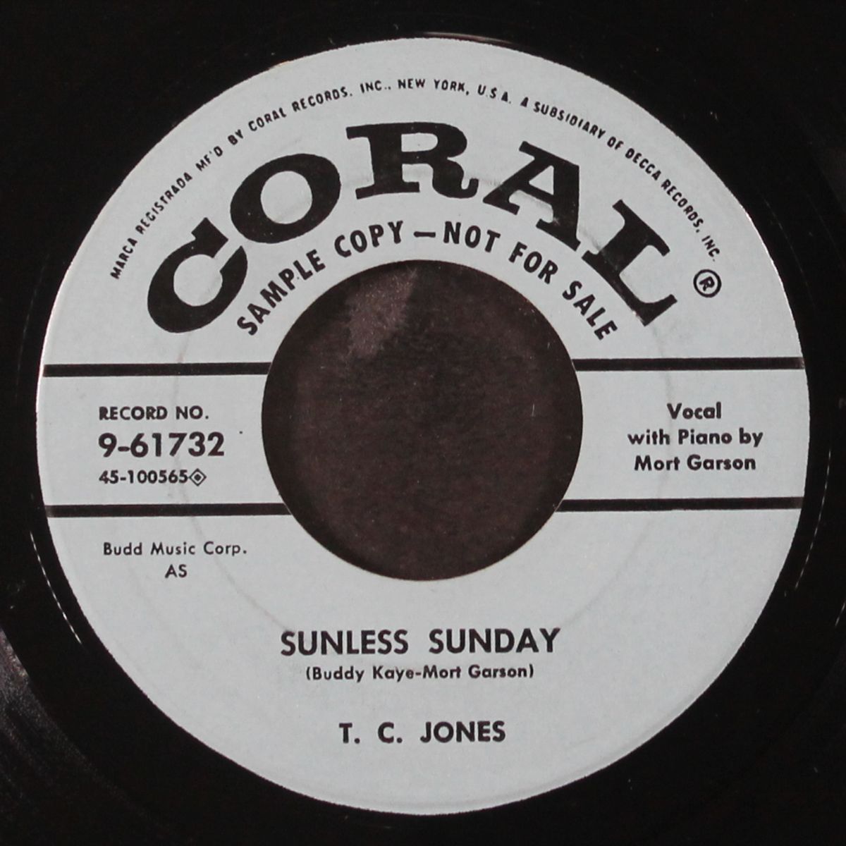 champagne cocktails / sunless sunday by T.C. JONES