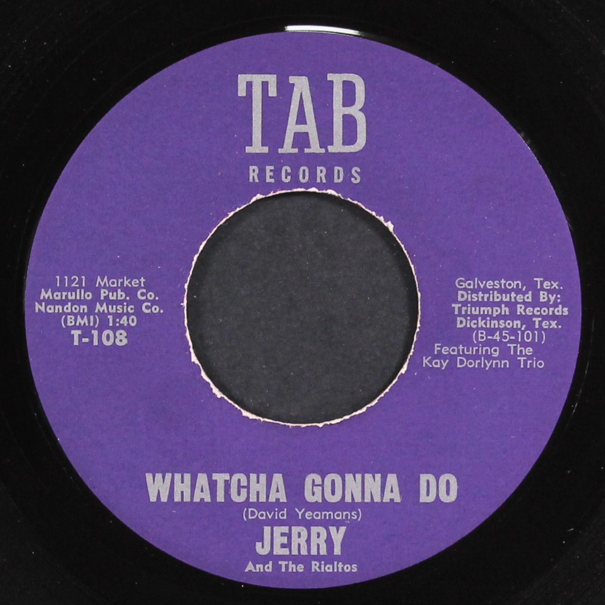 whatcha gonna do / it's all in fun by JERRY & RIALTOS