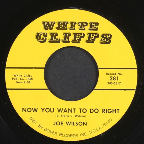 JOE WILSON