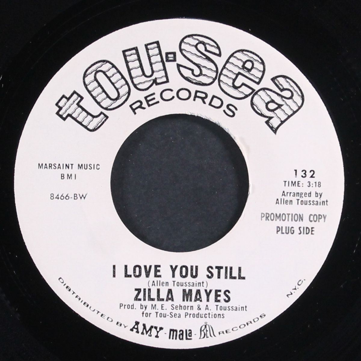 i love you still / all i want is you by ZILLA MAYES