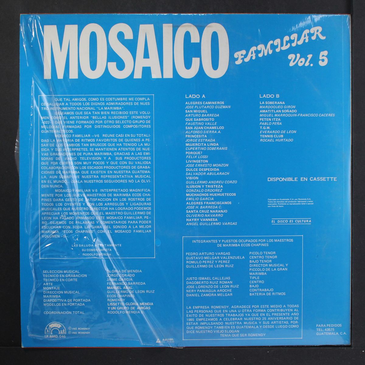 mosaico familiar vol. 5 by MARIMBA ECOS CHAPINES