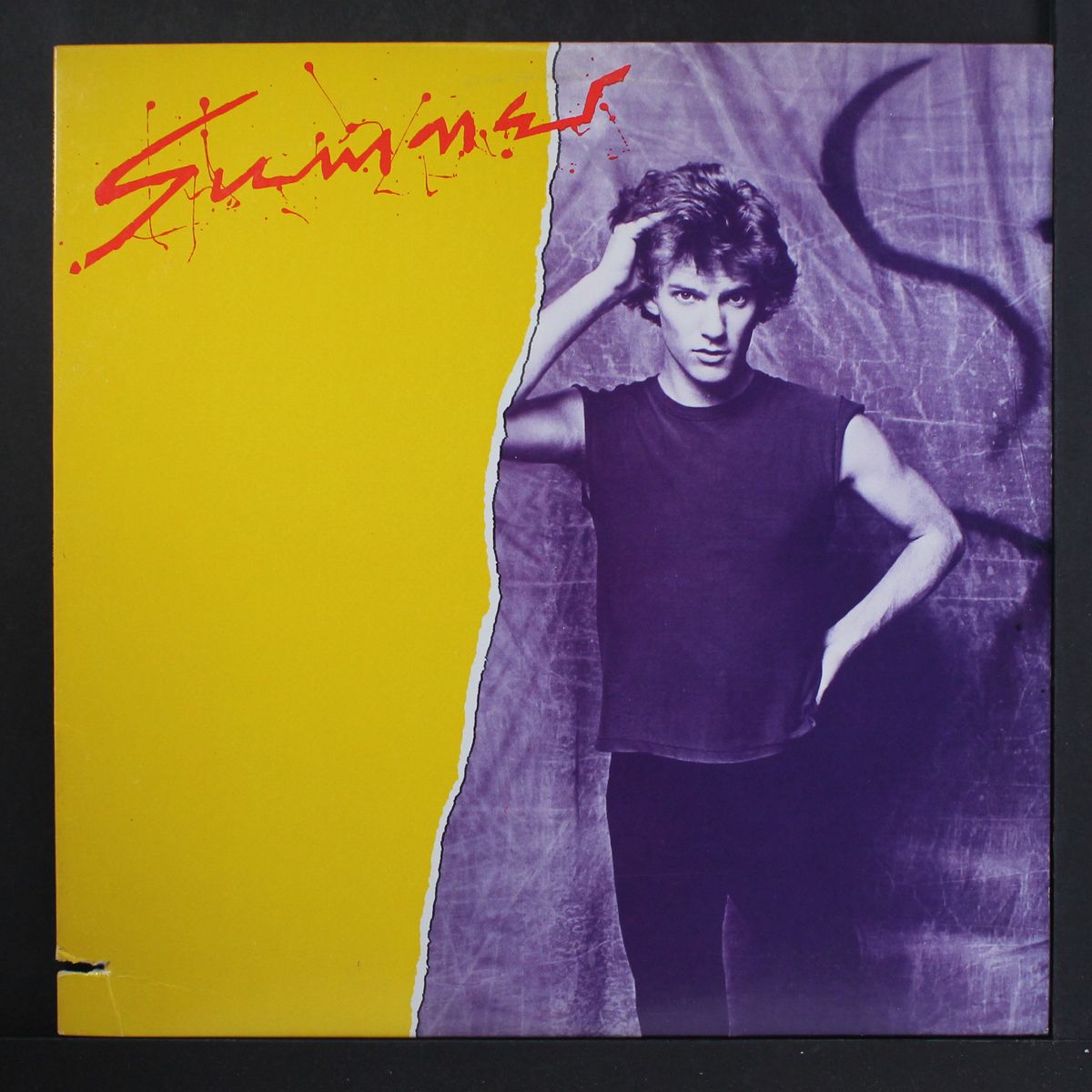 sumner by SUMNER