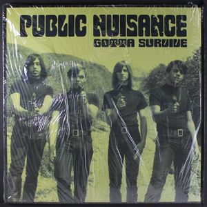 PUBLIC NUISANCE