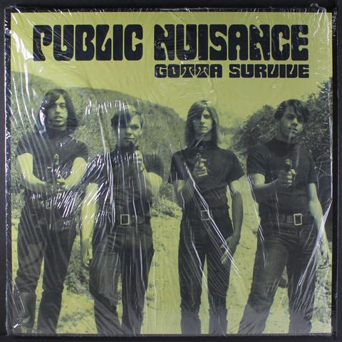 PUBLIC NUISANCE