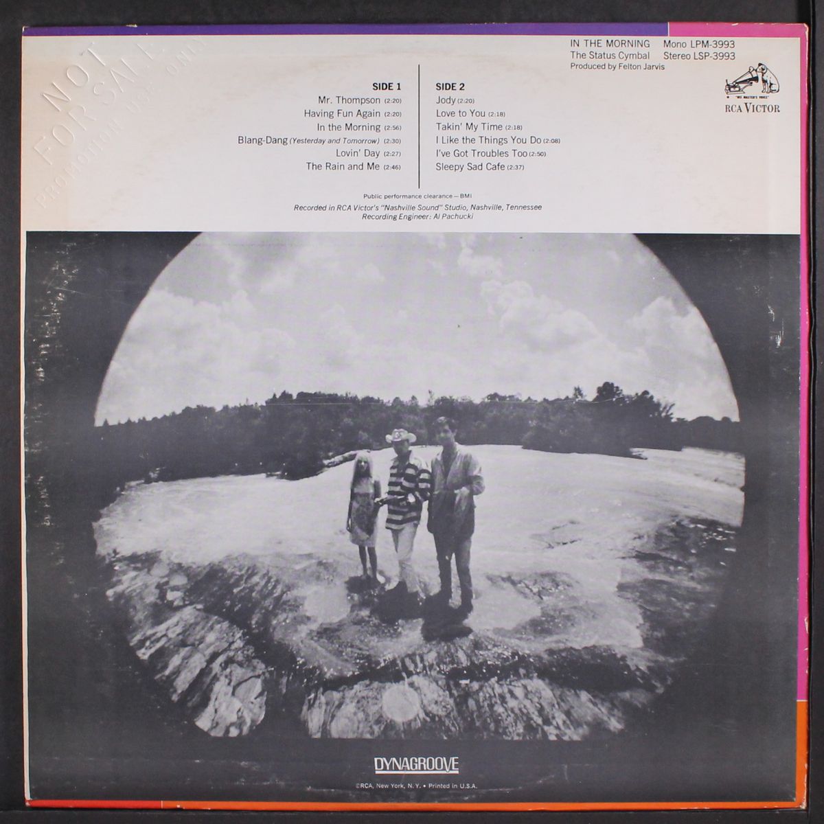 in the morning by STATUS CYMBAL