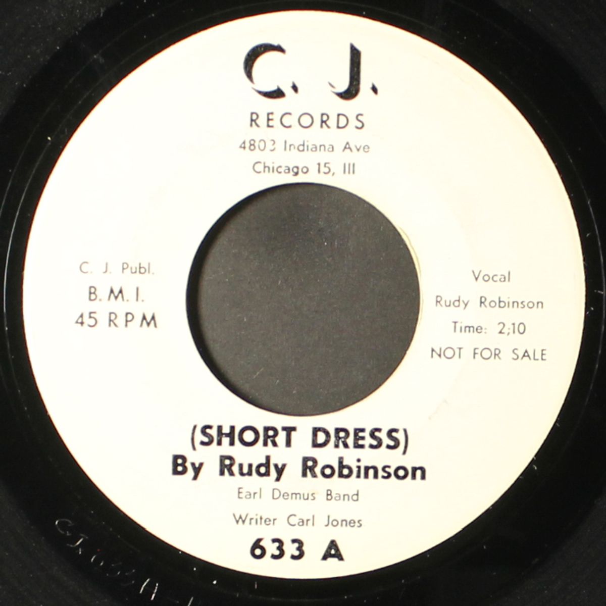short dress / bachelor blues by RUDY ROBINSON