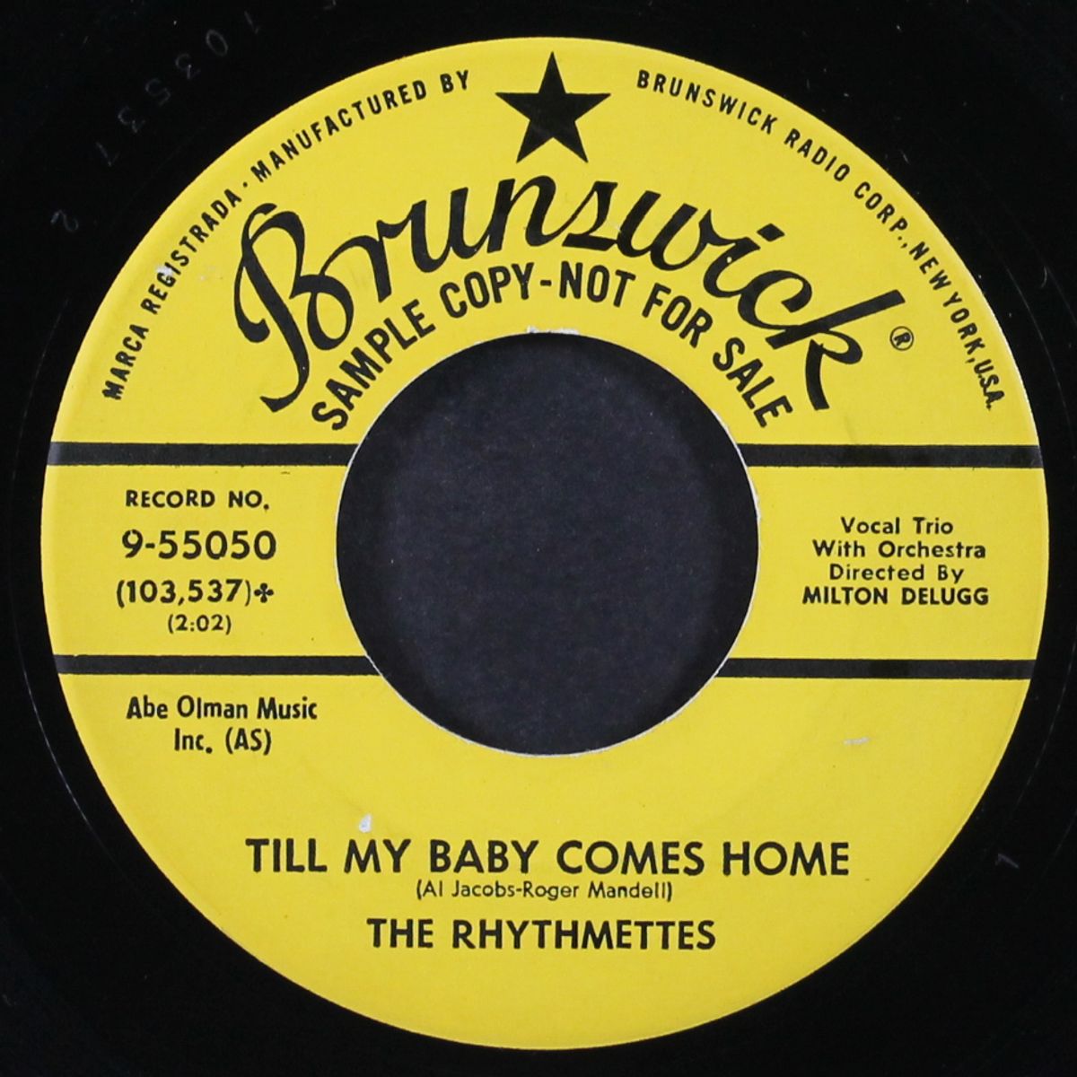 till my baby comes home / that's a plenty by RHYTHMETTES