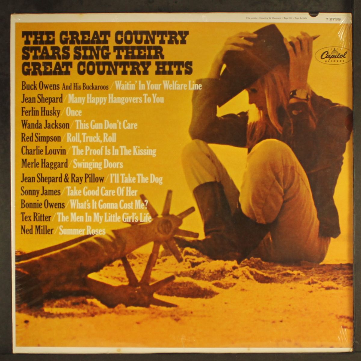 the great country stars sing their great country hits by VARIOUS