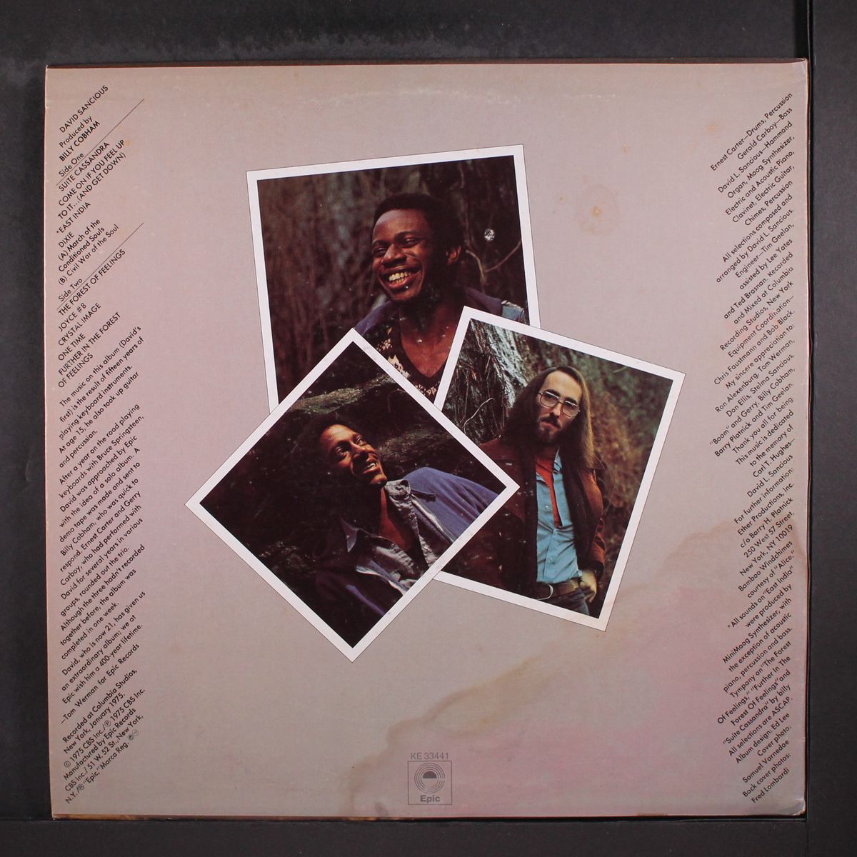 forest of feelings by DAVID SANCIOUS