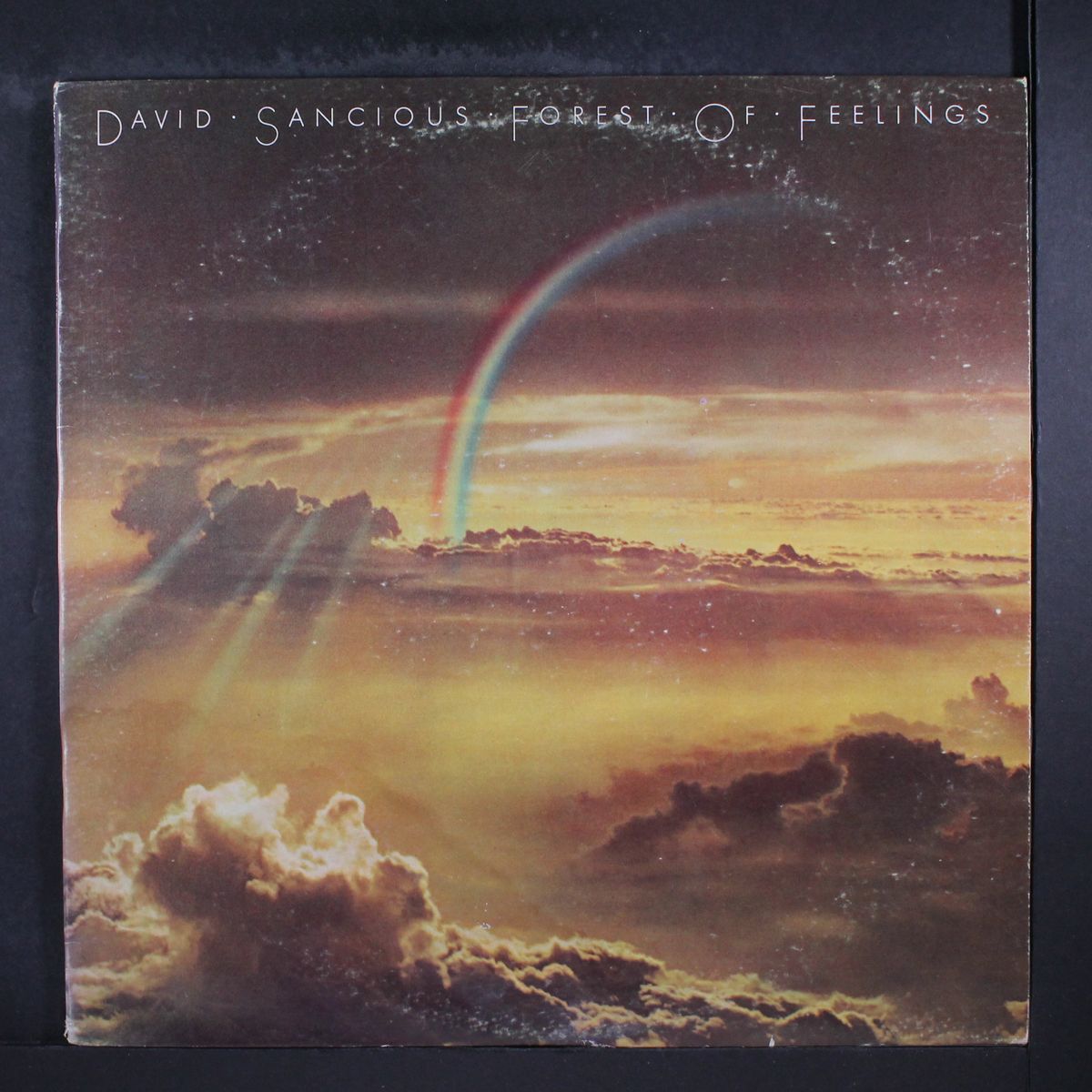 forest of feelings by DAVID SANCIOUS