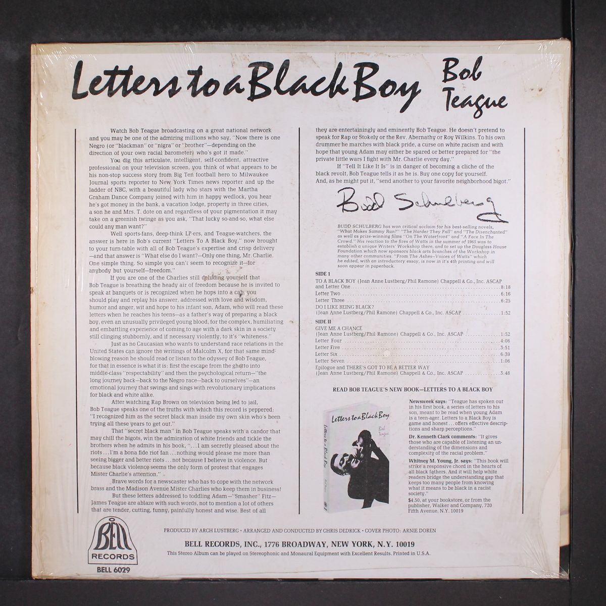 letters to a black boy by BOB TEAGUE