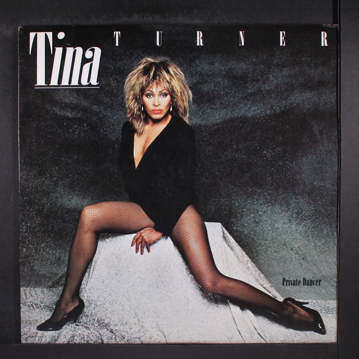 private dancer by TINA TURNER
