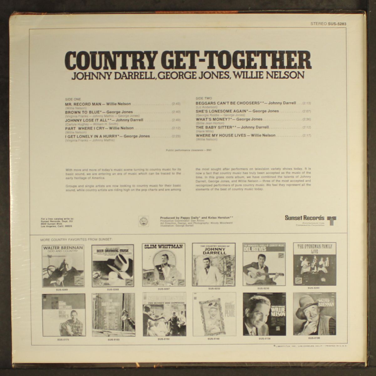 country get-together by VARIOUS
