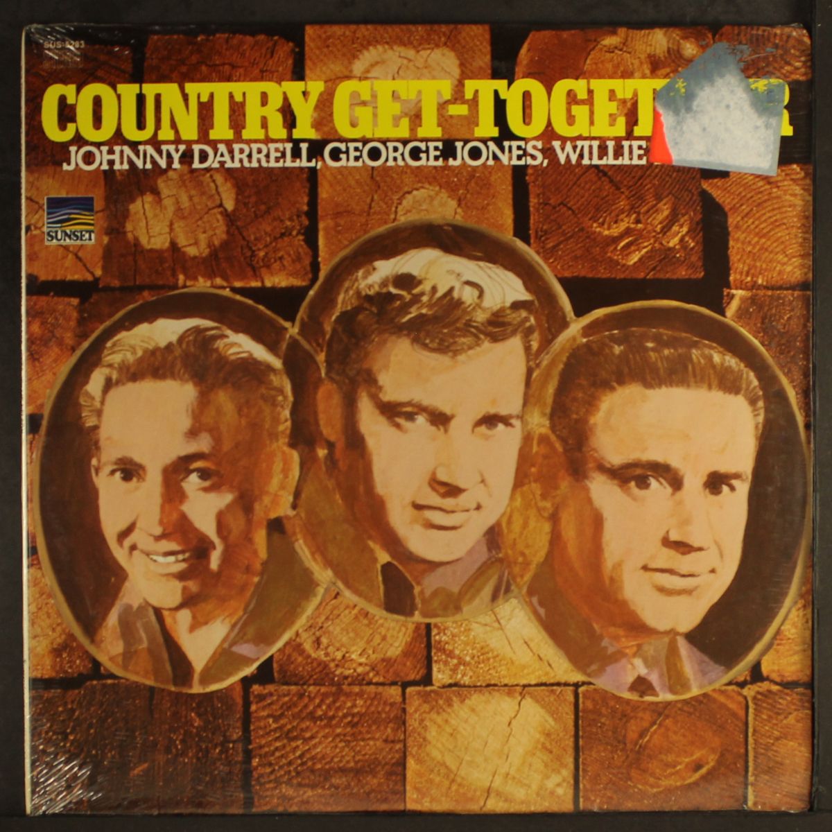 country get-together by VARIOUS