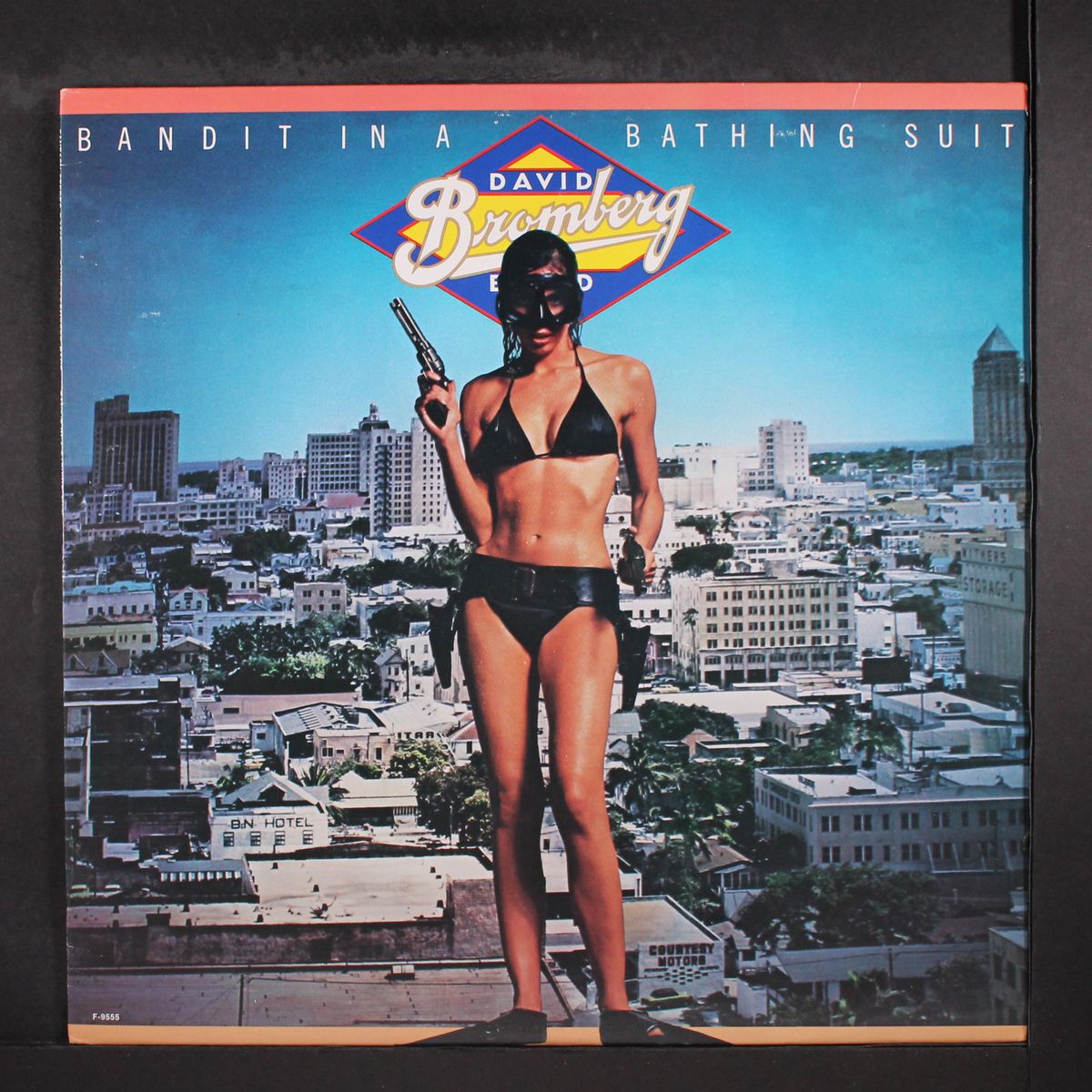 bandit in a bathing suit by DAVID BROMBERG