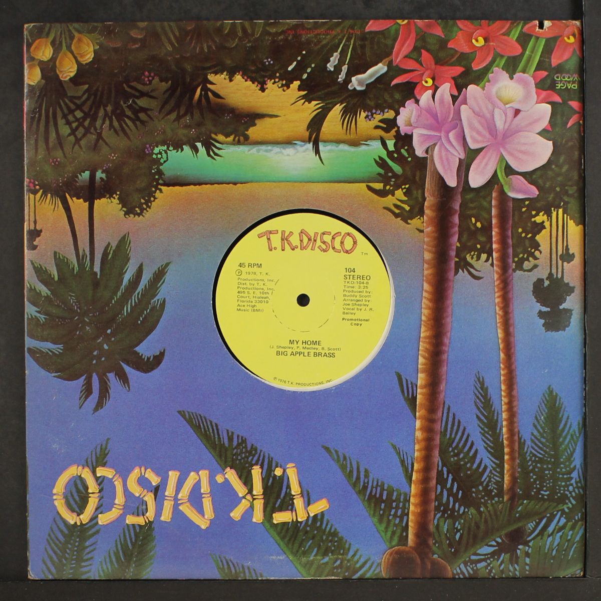 finger lickin' disco by BIG APPLE BRASS