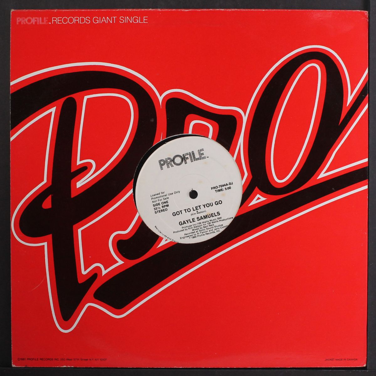got to let you go/dub by GAYLE SAMUELS